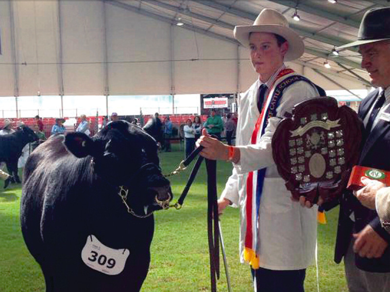 Toby Crowned Champion School Parader