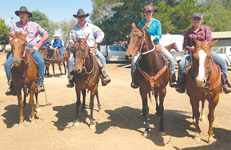 Team Penning draws great numbers