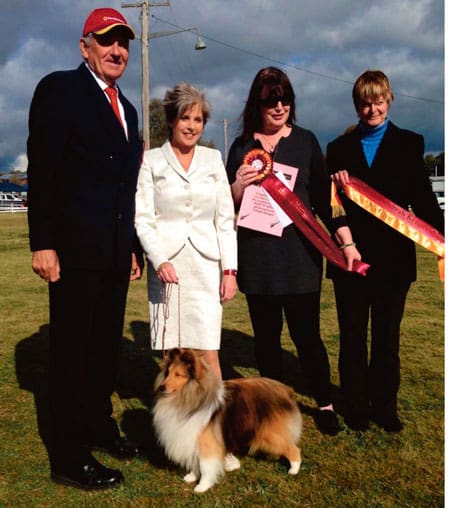 Dog Show On This Weekend At Murrumburrah Showground