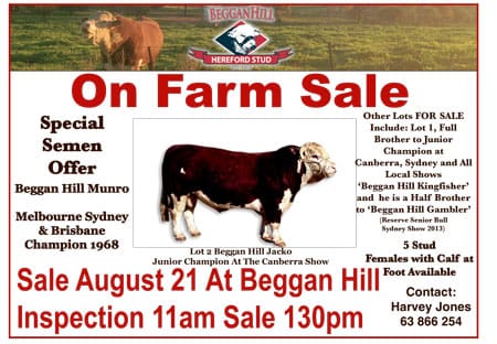 Beggan Hill Hereford Sale On The Horizon