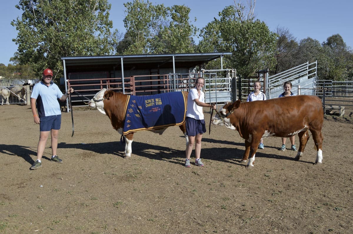 MHS On Course For  Sydney Royal Easter Show