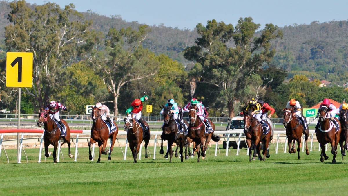 Heywood Heads To Randwick Country Championship Final After Second Place With Mitchell Road