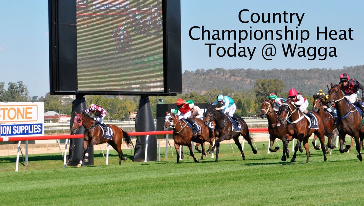 Twin Town Locals Do  Battle in Wagga Heat of Country Championships