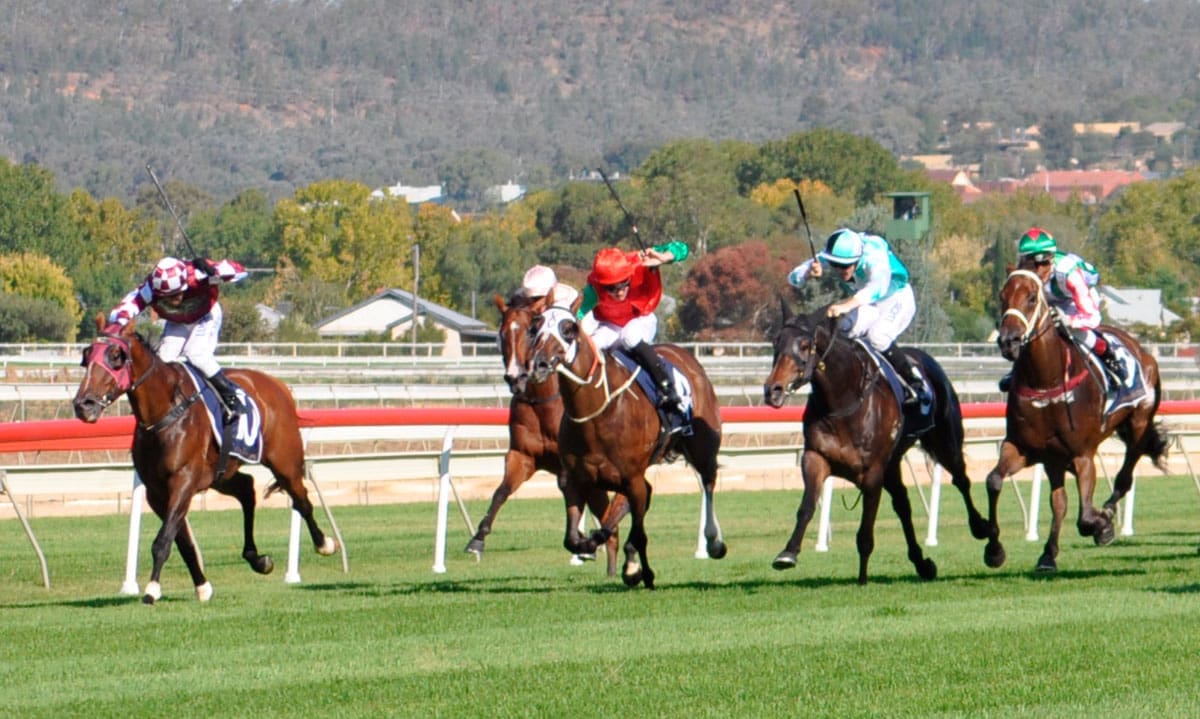 Boorowa Races Abandoned