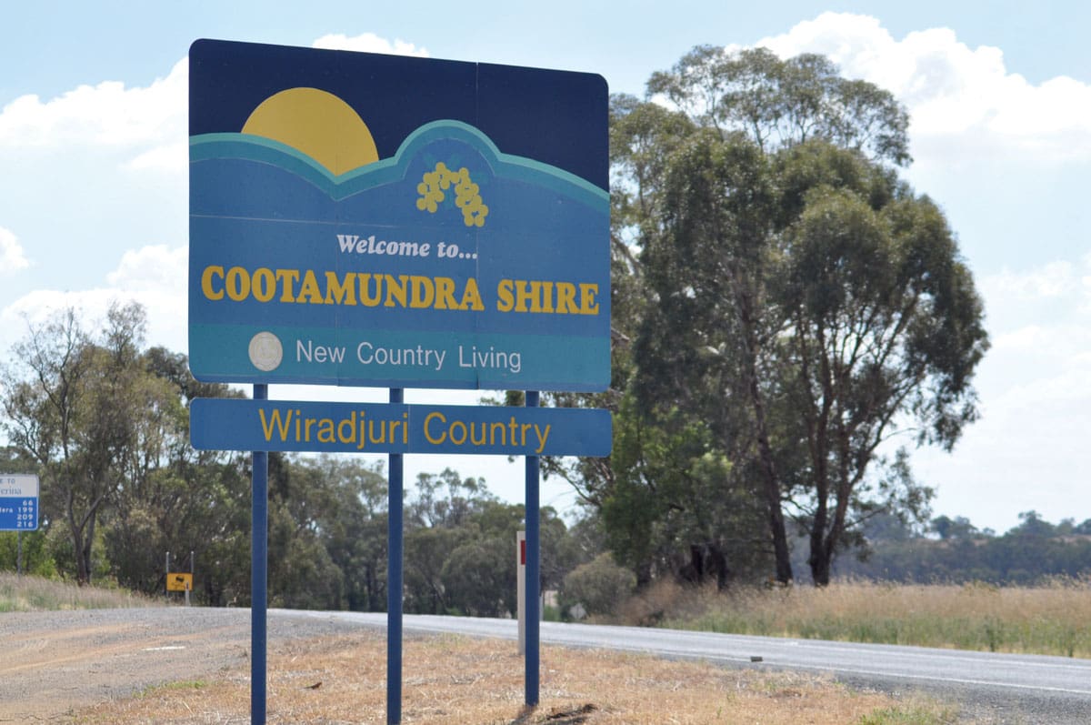 Cootamundra Saleyards Report