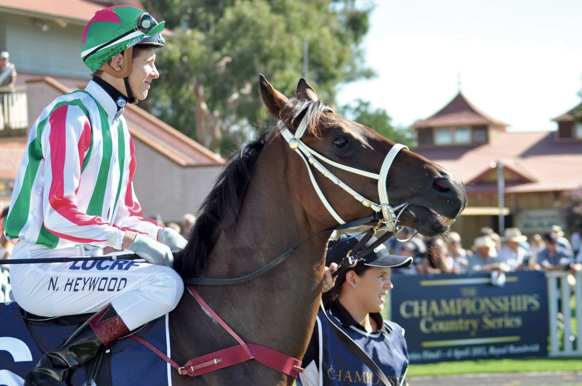 Nick Heywood Moves To Snowden Stable in Sydney