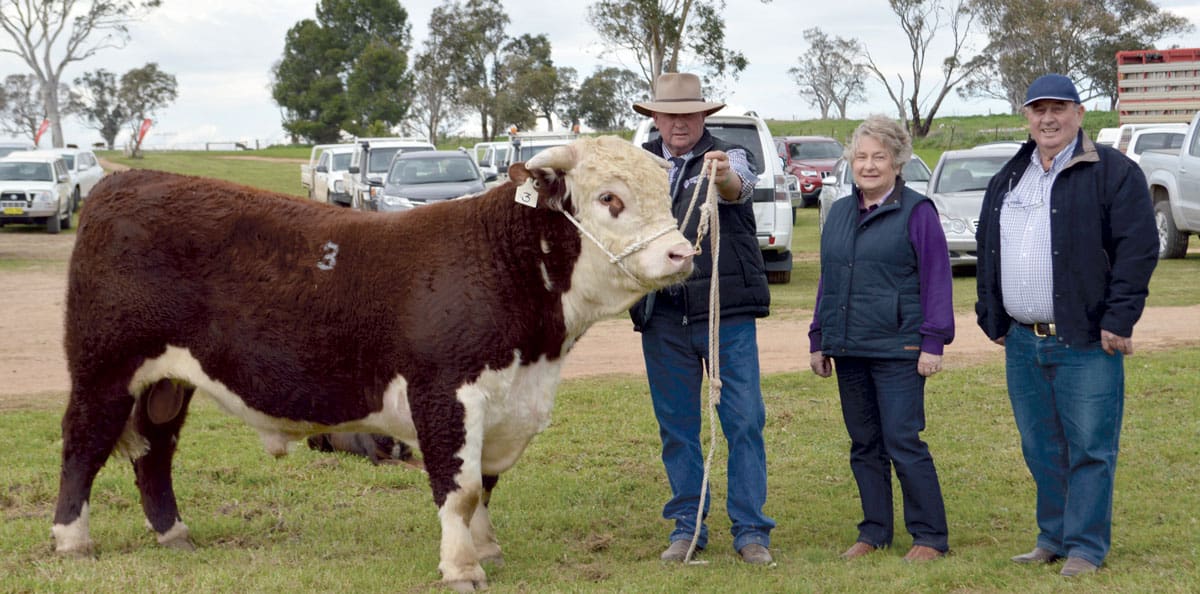 Beggan Hill Bull Fetches $8500