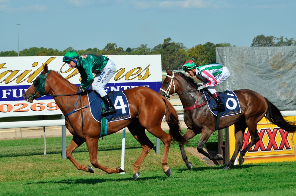 Heywood @ Randwick in Race 9 Today