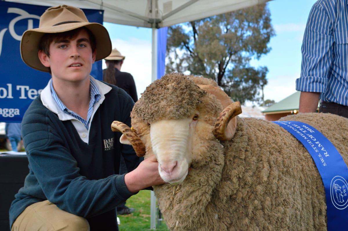 Yarrawonga Take Out Best Ram At South West Slopes Stud Merino Field Day