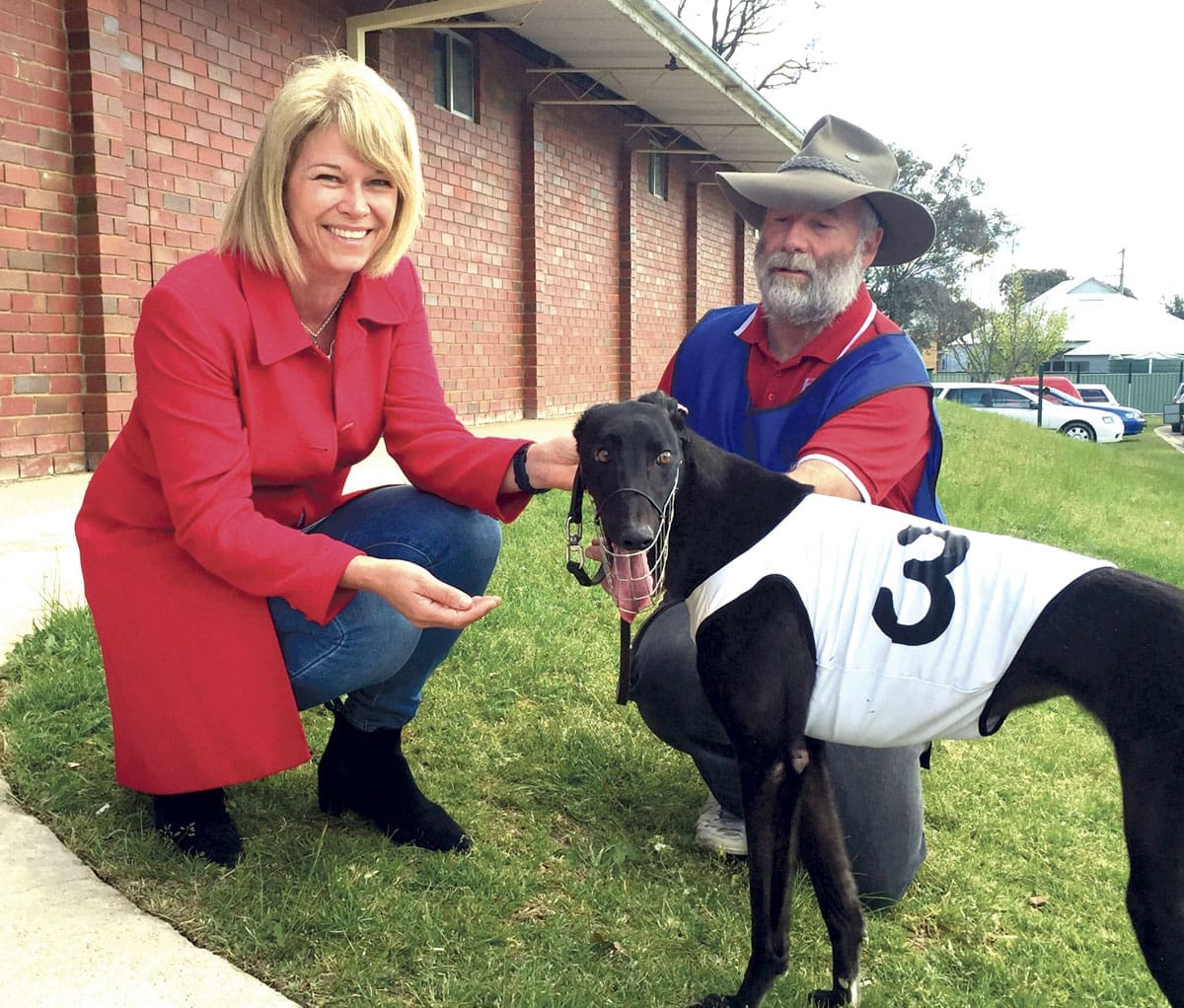 She Helped Save The Greyhound  Industry – Now It’s Forced Merger Time