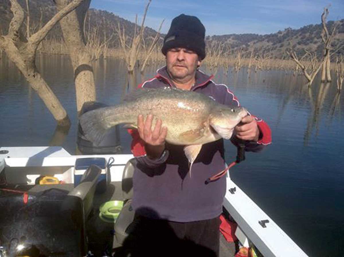 Burrinjuck Waters fishing and lake report