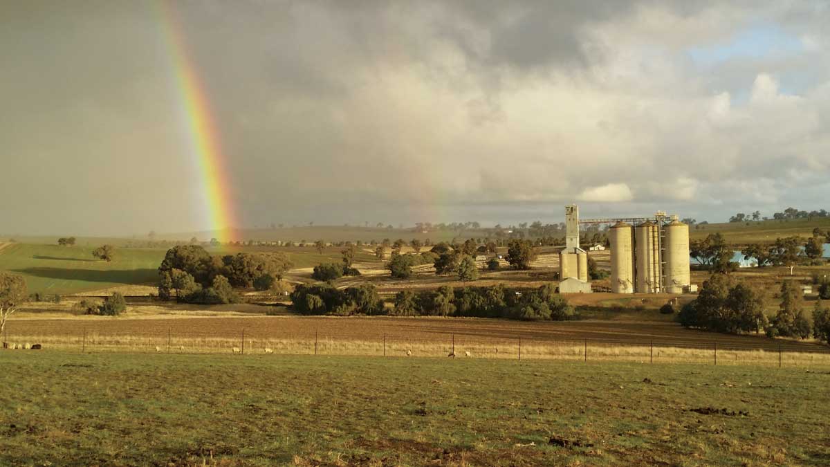 GrainCorp reaches key milestone in Cunningar upgrade project