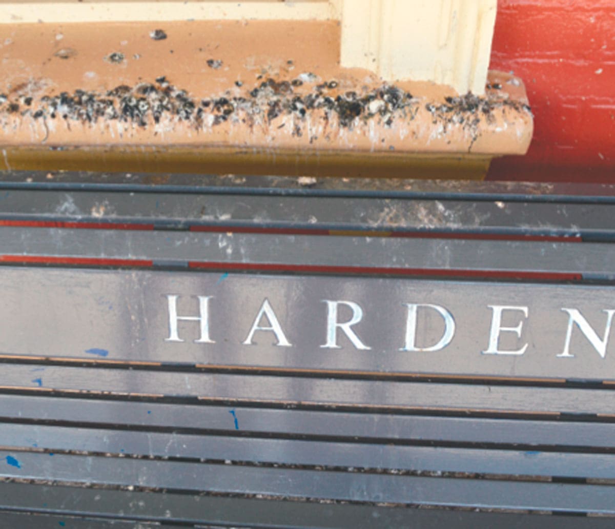 ‘Rats’ of The Sky Destroying Harden Railway Station