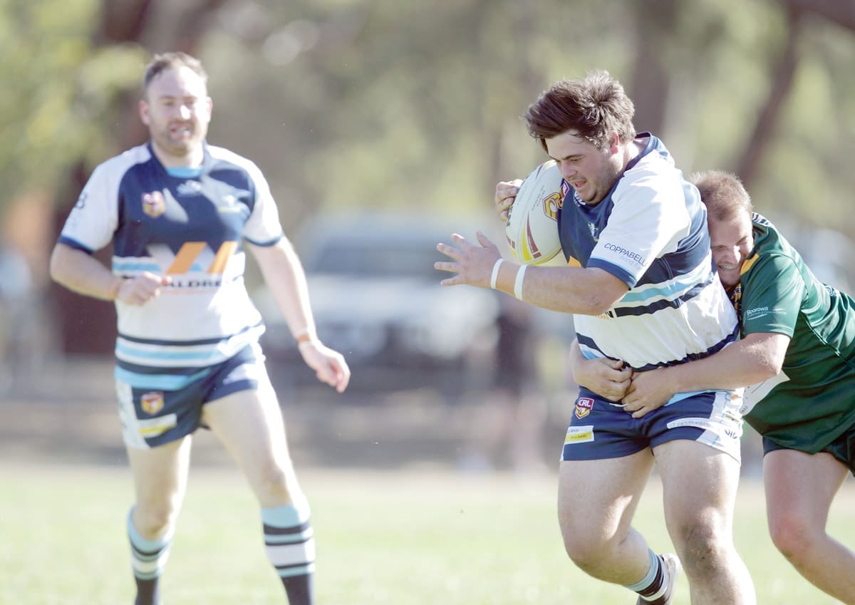 Brahmans Rounded Up By Rovers