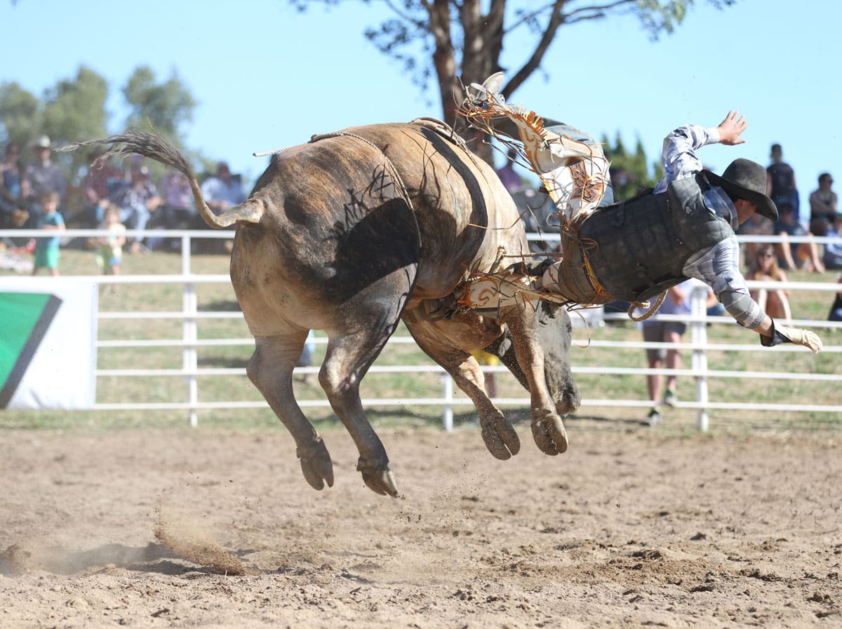 Huge Numbers Entered For Harden-Murrumburrah Harden Fuel Supplies Twin Town Rodeo