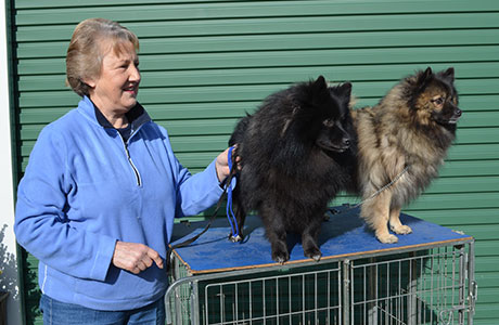 Dogs On Show This Weekend In The Twin Towns