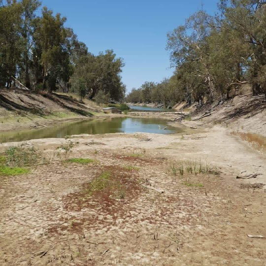 NSW Nationals MPs blamed for Darling River – Humphries Hodgkinson and Blair Named in Review