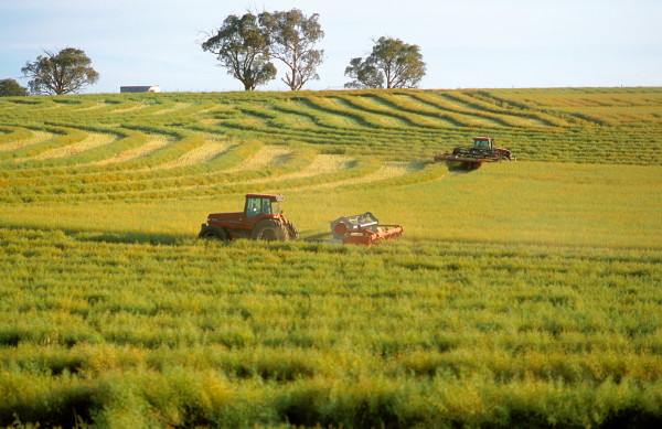 Harden Landcare Survey