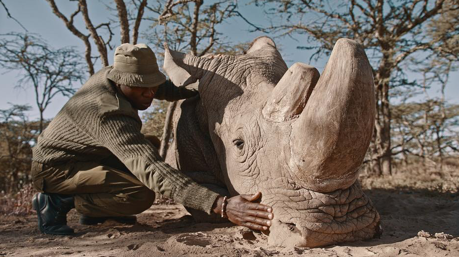 7th Light Horse Gundagai Troop Members To Train African Rhino Protectors