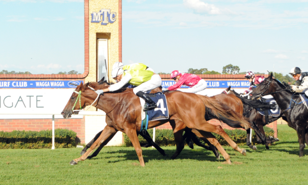 Gary Colvin & Nick Heywood Combine with  ‘Another One’ In Country Championships Final on Saturday