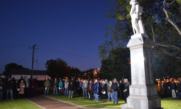 Crowds Flock To Newson Park to Honour Those Who Served