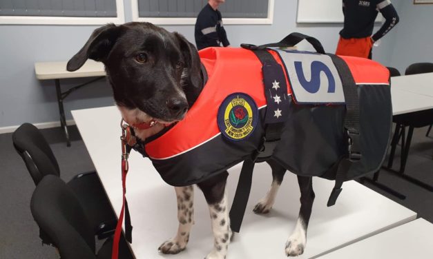 Harden SES-organised Emergency Services Prepares Open Day