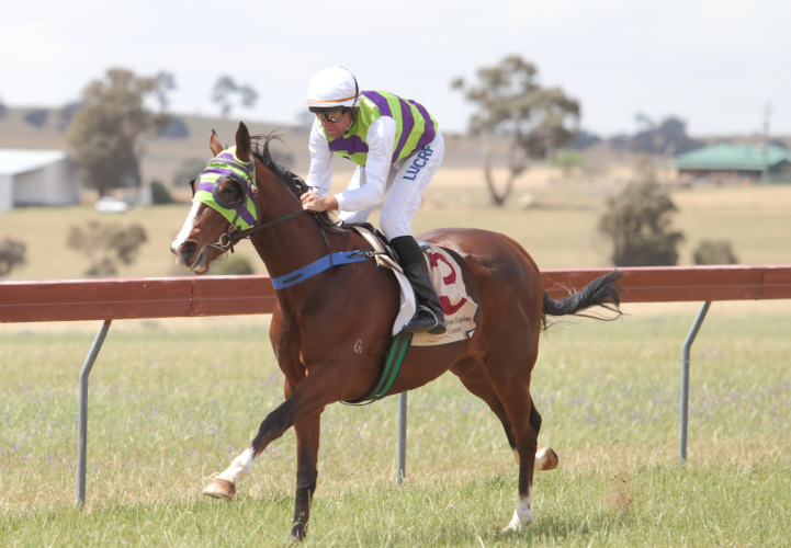 Harden Picnic Races Look to 2022 – Race Meeting Abandoned