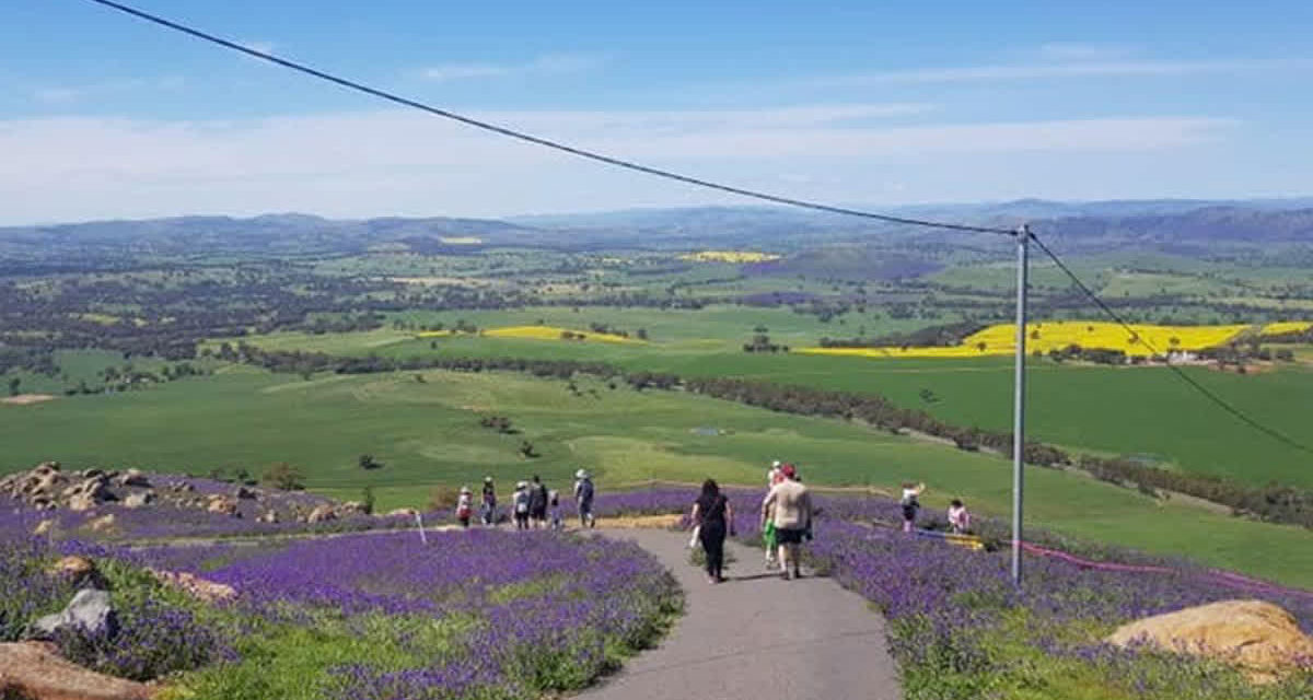 Bobbara Walk draws hikers across the region