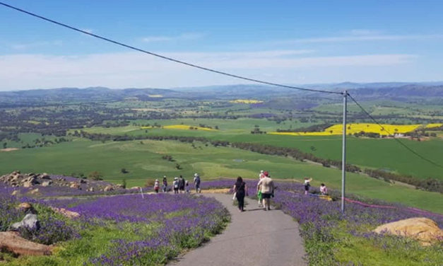 Bobbara Walk draws hikers across the region