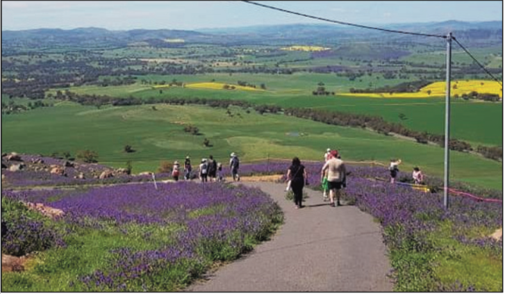 Take on the Bobbara Walk this year