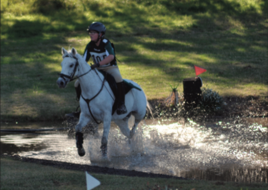 Harden Hosts State Pony Club Event