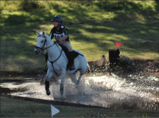 Harden Hosts State Pony Club Event