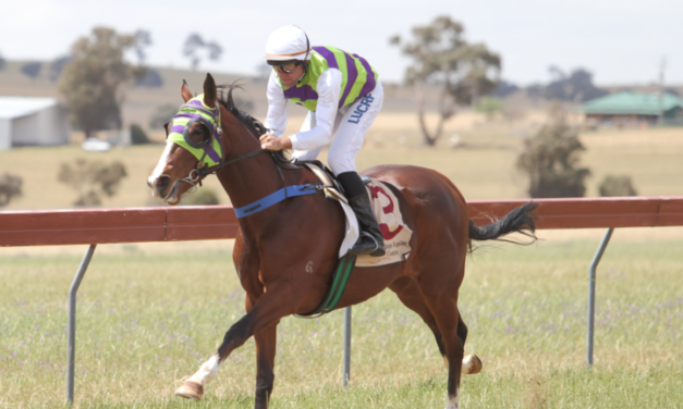 Picnics Prepare for 40th Running