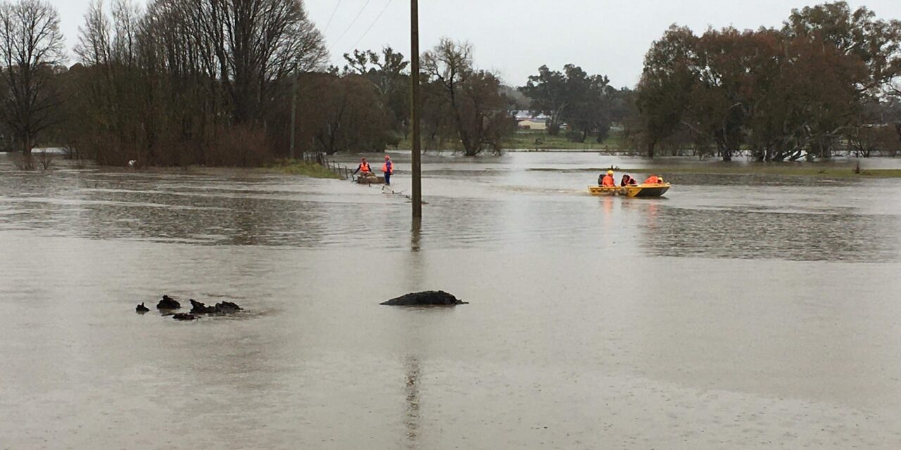 Harden SES Called to Help Flooding in Boorowa, Jugiong Last Weekend