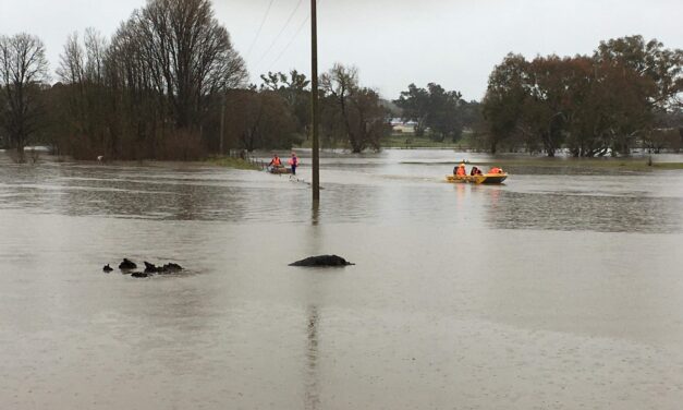 Harden SES Called to Help Flooding in Boorowa, Jugiong Last Weekend