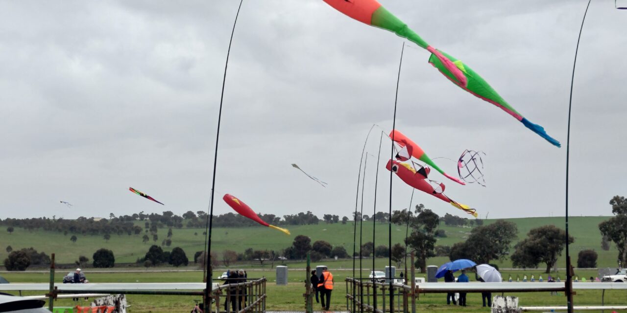 Harden Kite Festival Prevails Through the Weather