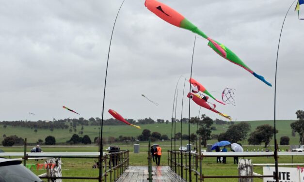 Harden Kite Festival Prevails Through the Weather