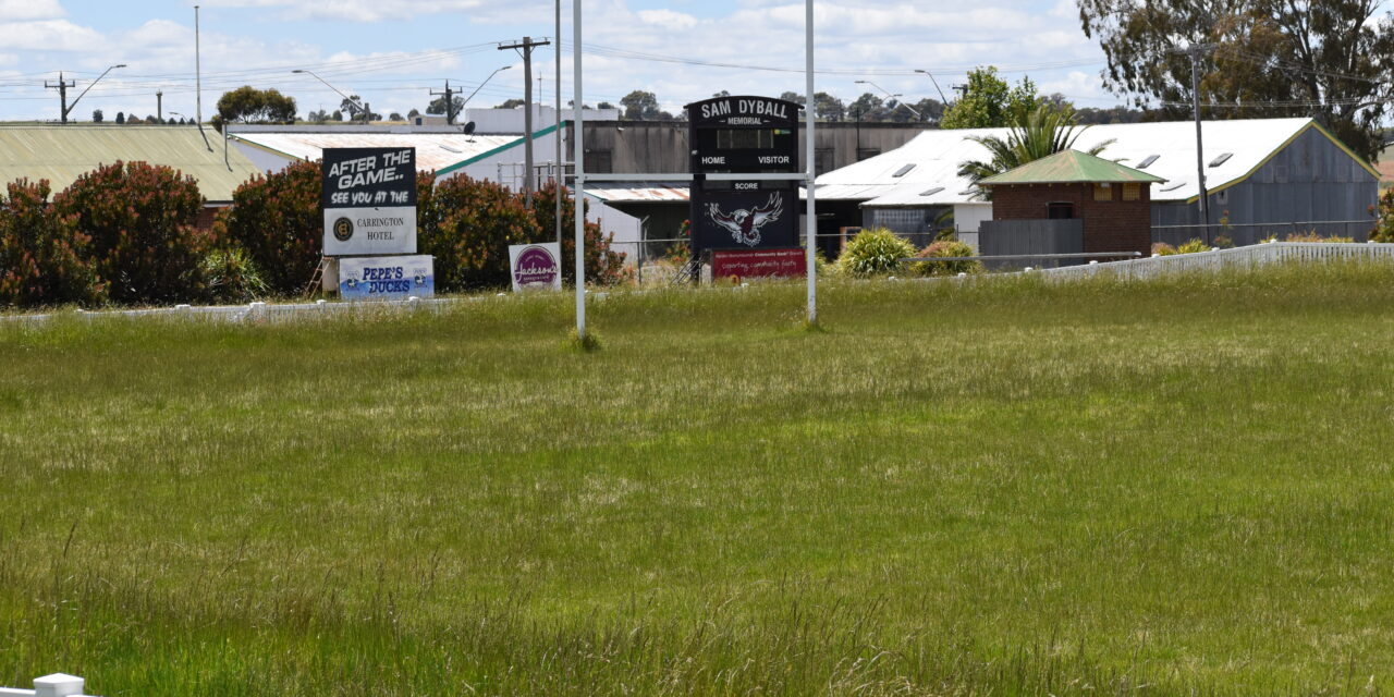 Long Grass Out of  Control at McLean Oval