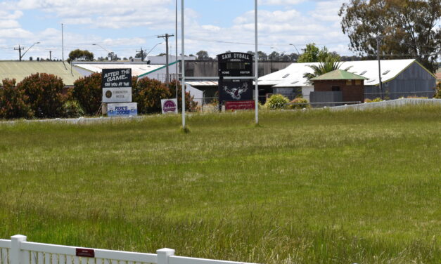 Long Grass Out of  Control at McLean Oval