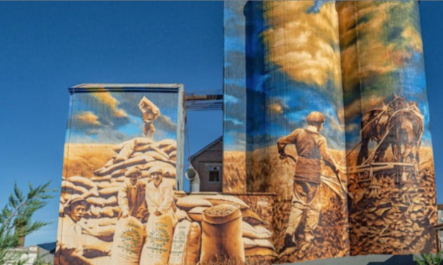 Murrumburrah’s Silo Art Could Spread to Junee