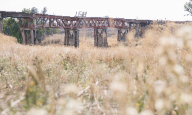 Boorowa to Galong Rail Trail Project Deemed Feasible