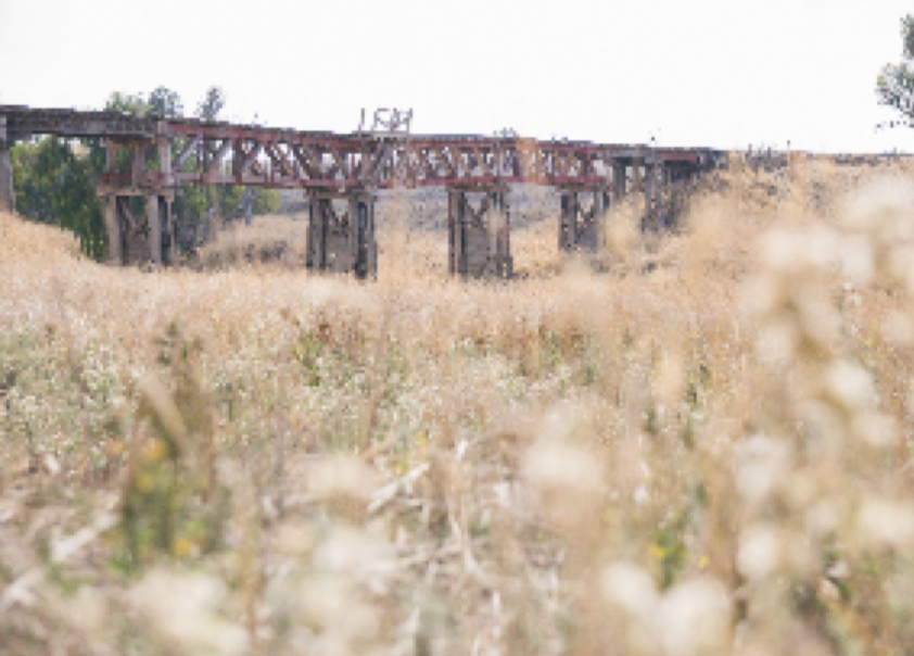 Boorowa to Galong Rail Trail Project Deemed Feasible