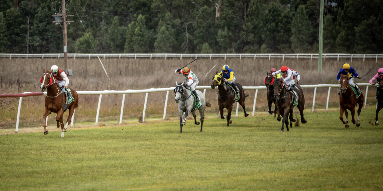 ‘Duke’ Would Have Loved It – Heywood Shines At Parkes With 4 Wins On Sunday On What Would Have Been His Grandfather’s 83rd Birthday