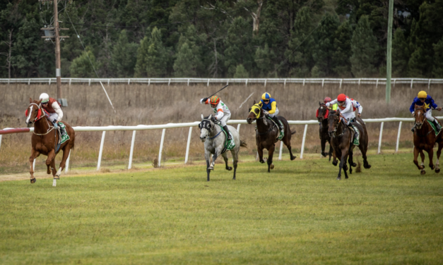 ‘Duke’ Would Have Loved It – Heywood Shines At Parkes With 4 Wins On Sunday On What Would Have Been His Grandfather’s 83rd Birthday