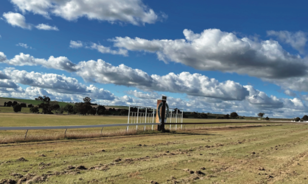 Racecourse in Great Shape as Harden Look to Welcome Horses Back After Hiatus