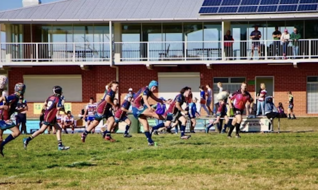 14s BushHawks Set For Gundagai In Finals Series