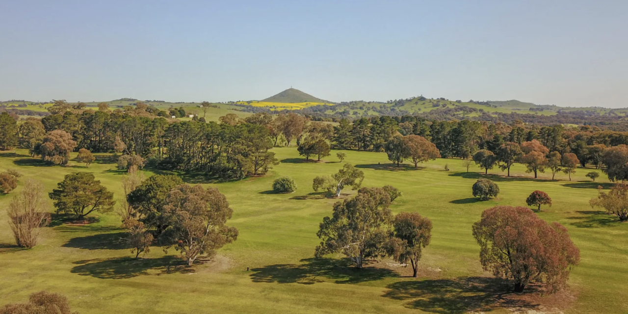 Binalong Golf Club Set to Host $140,000 Men’s World Sand Green Championships in 2024