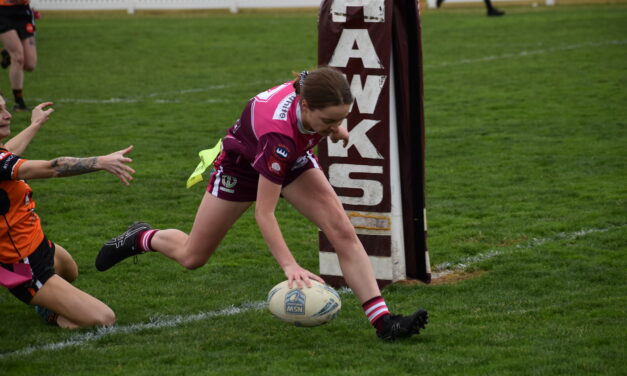 Hawkettes Down Tigerettes At McLean Oval